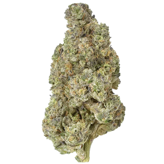 Gush Mintz THCA Flower - Bulk - Hybrid - We The People 