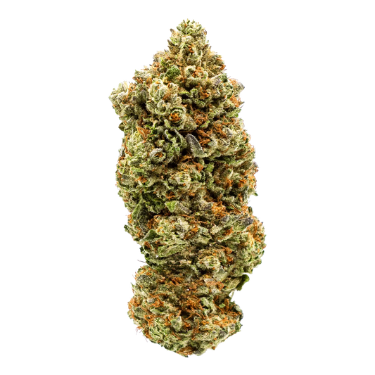 Lambo THCA Flower - Bulk - Sativa - We The People 